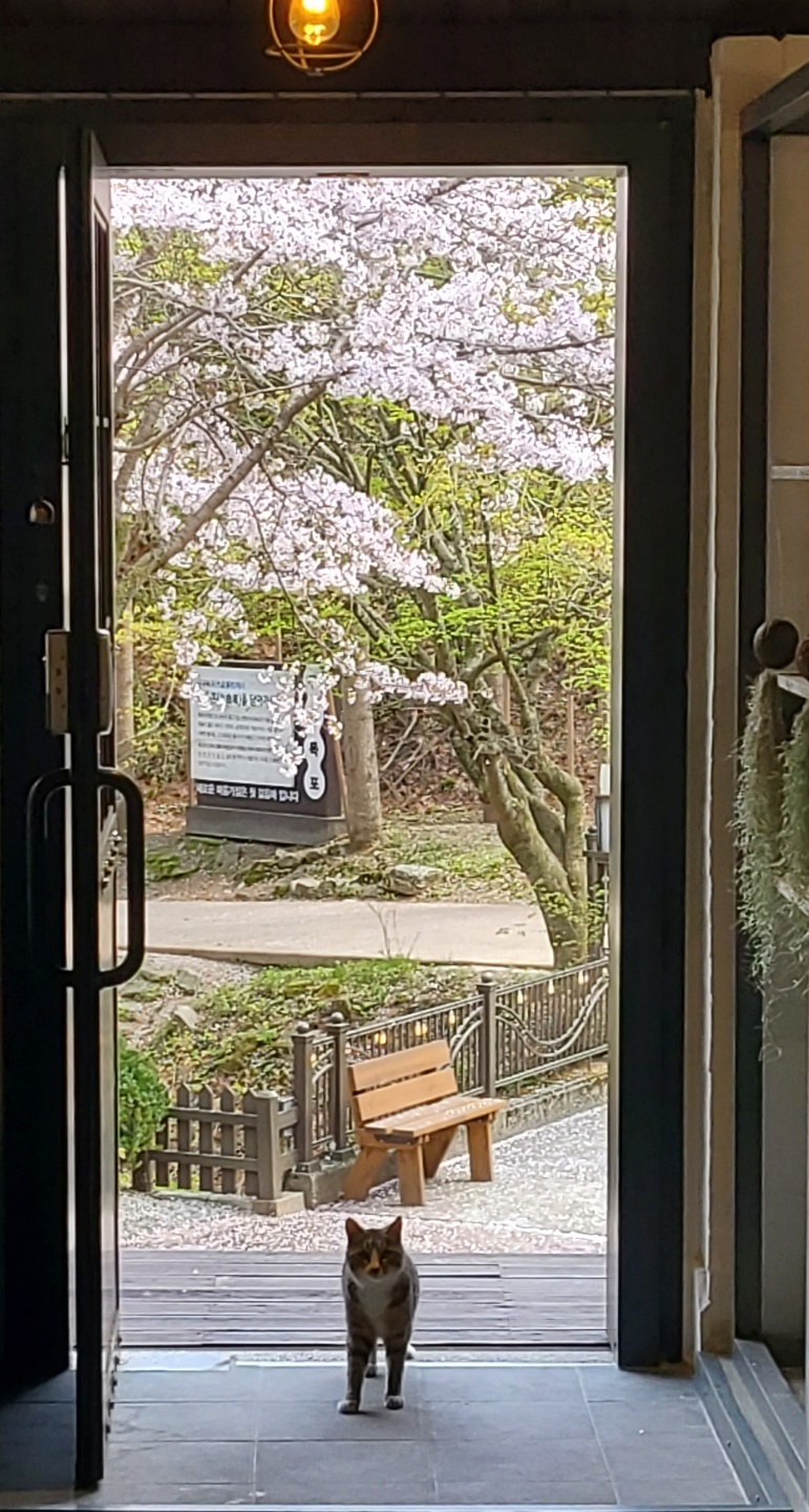 bd7f91e7943df4f03af6bcd40eae5c72_1656396951_1844.jpg bd7f91e7943df4f03af6bcd40eae5c72_1656396951_1844.jpg