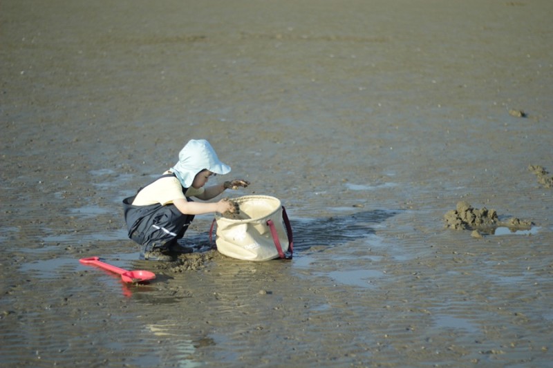 5550c874b93692d29ec51ec764fb5b81_1656655783_0946.jpg 5550c874b93692d29ec51ec764fb5b81_1656655783_0946.jpg