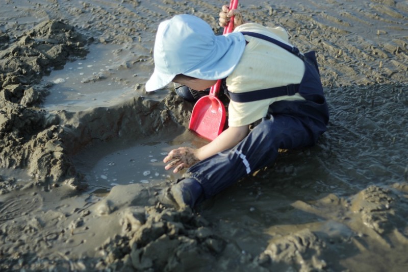 5550c874b93692d29ec51ec764fb5b81_1656655783_2058.jpg 5550c874b93692d29ec51ec764fb5b81_1656655783_2058.jpg