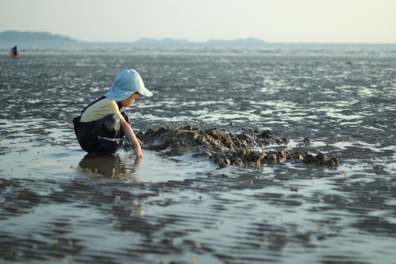 5550c874b93692d29ec51ec764fb5b81_1656655783_4377.jpg 5550c874b93692d29ec51ec764fb5b81_1656655783_4377.jpg