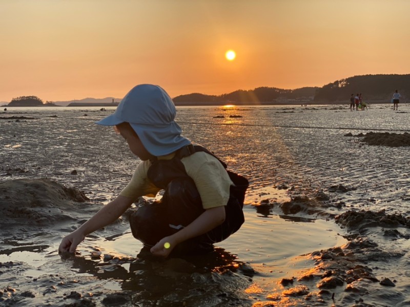 5550c874b93692d29ec51ec764fb5b81_1656655783_7158.jpg 5550c874b93692d29ec51ec764fb5b81_1656655783_7158.jpg