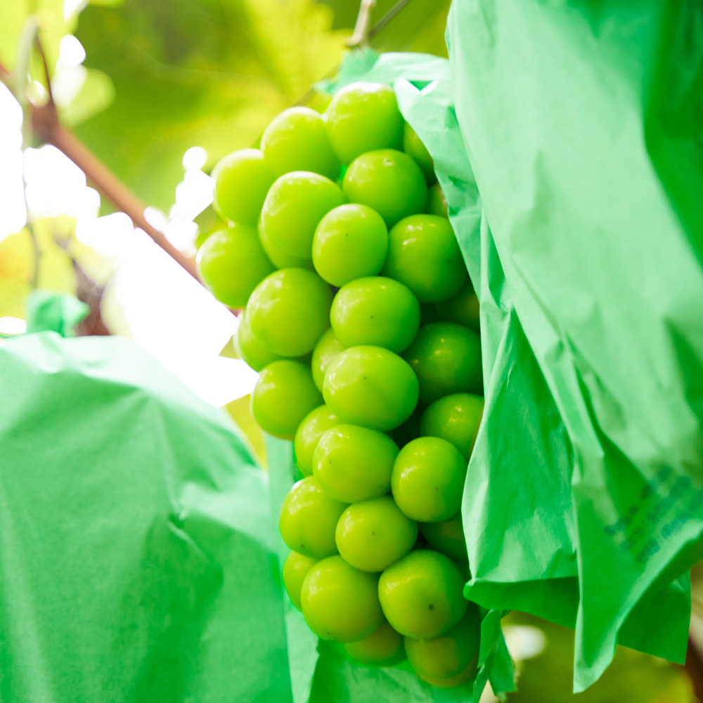 079ba35fa8023ba957cd19d015628351_1660695351_1803.jpg 079ba35fa8023ba957cd19d015628351_1660695351_1803.jpg