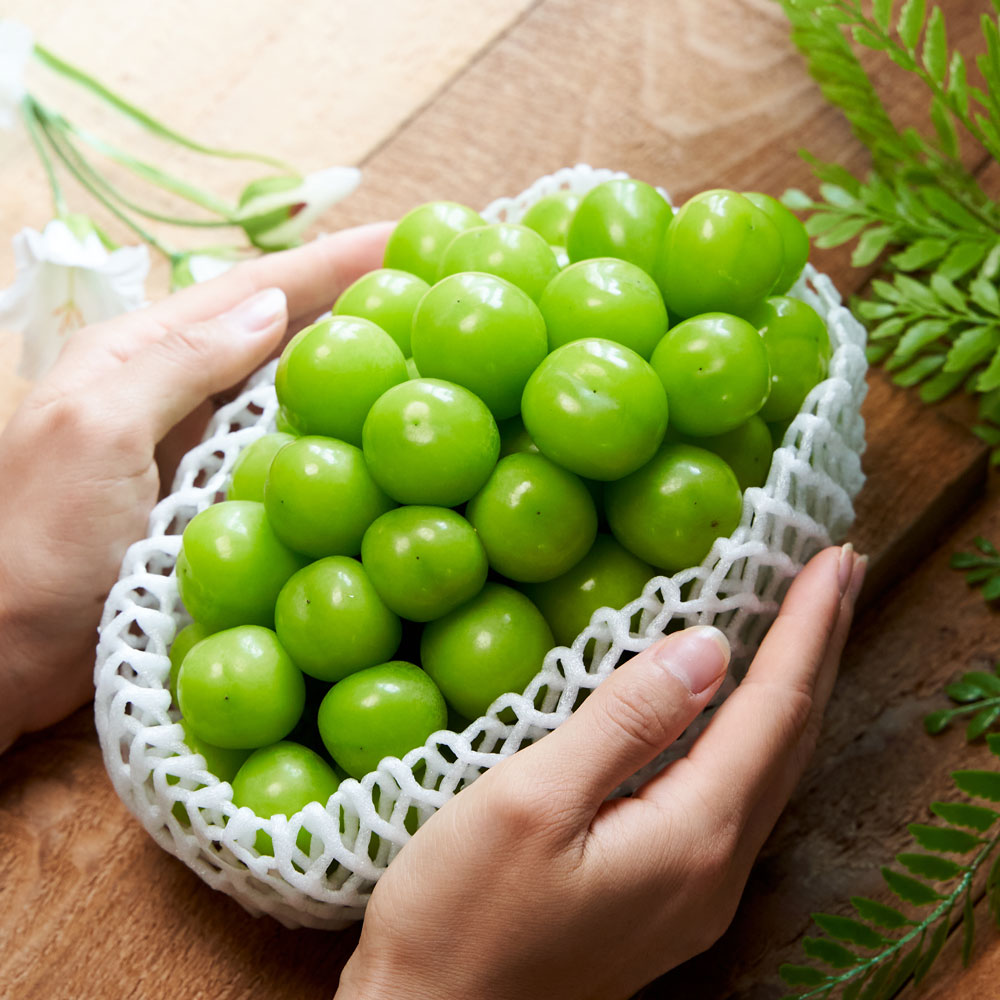 079ba35fa8023ba957cd19d015628351_1660695351_2993.jpg 079ba35fa8023ba957cd19d015628351_1660695351_2993.jpg