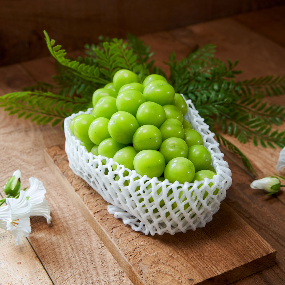 079ba35fa8023ba957cd19d015628351_1660695351_4188.jpg 079ba35fa8023ba957cd19d015628351_1660695351_4188.jpg