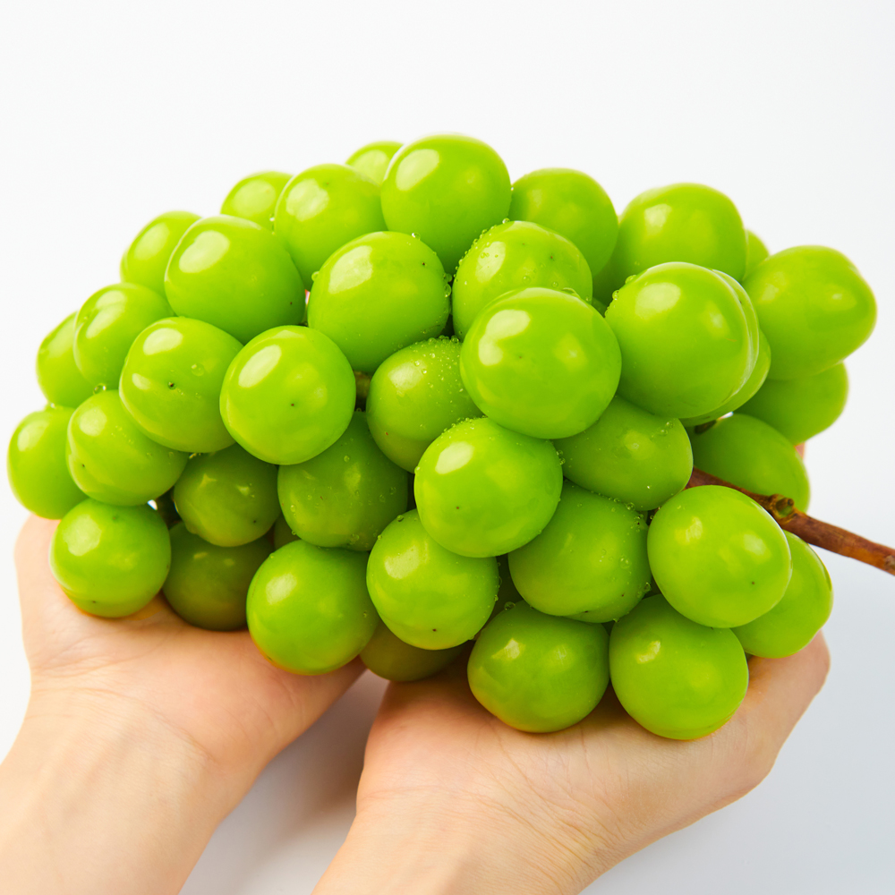 079ba35fa8023ba957cd19d015628351_1660695351_5954.jpg 079ba35fa8023ba957cd19d015628351_1660695351_5954.jpg