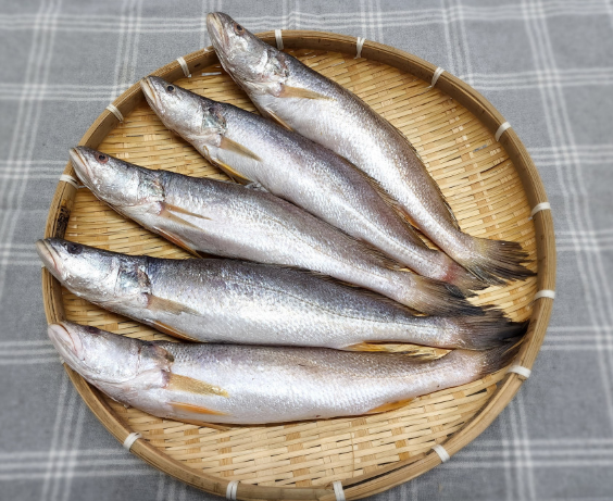 99478fbf07e492257ee3344b516d0aaa_1664432236_3971.png 99478fbf07e492257ee3344b516d0aaa_1664432236_3971.png