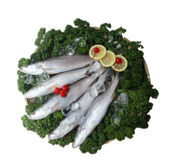 99478fbf07e492257ee3344b516d0aaa_1664432236_5569.png 99478fbf07e492257ee3344b516d0aaa_1664432236_5569.png