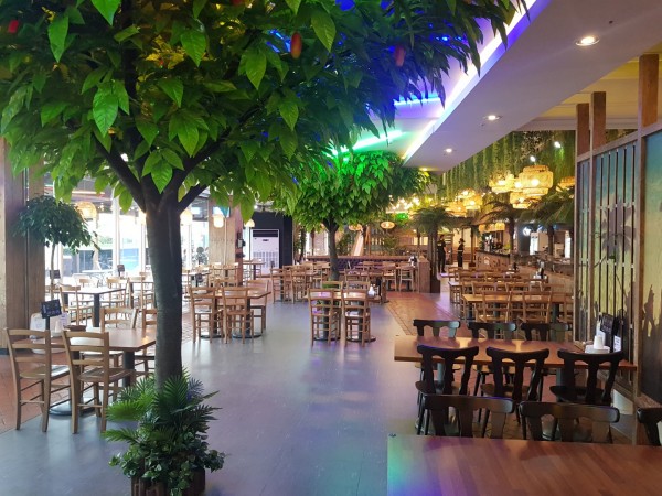 c87bf3ba4e82094fdfbdda868fc5ebd6_1666930137_5388.jpg c87bf3ba4e82094fdfbdda868fc5ebd6_1666930137_5388.jpg