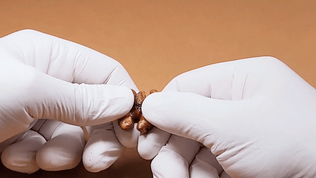 80df13b48bf8498b77196fb0aa5f5e7f_1668395094_0772.gif 80df13b48bf8498b77196fb0aa5f5e7f_1668395094_0772.gif