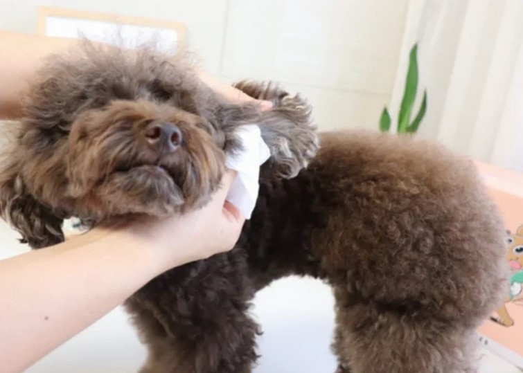 d10ff9b946b1281269e045032cf83a40_1669885596_9967.jpg d10ff9b946b1281269e045032cf83a40_1669885596_9967.jpg