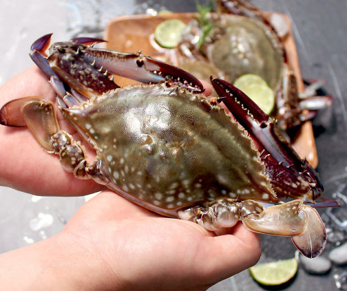 7f614ade972ab46feb924b4ad8b7b571_1676262648_788.png 7f614ade972ab46feb924b4ad8b7b571_1676262648_788.png