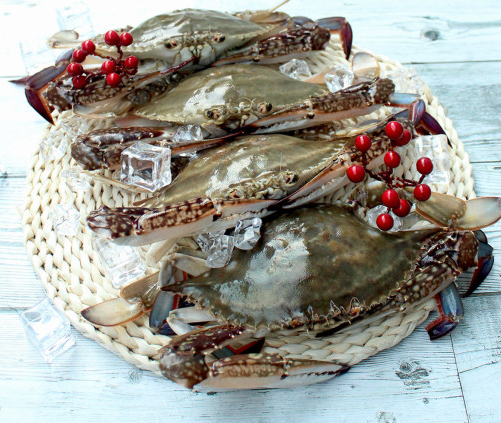 7f614ade972ab46feb924b4ad8b7b571_1676262648_9499.png 7f614ade972ab46feb924b4ad8b7b571_1676262648_9499.png