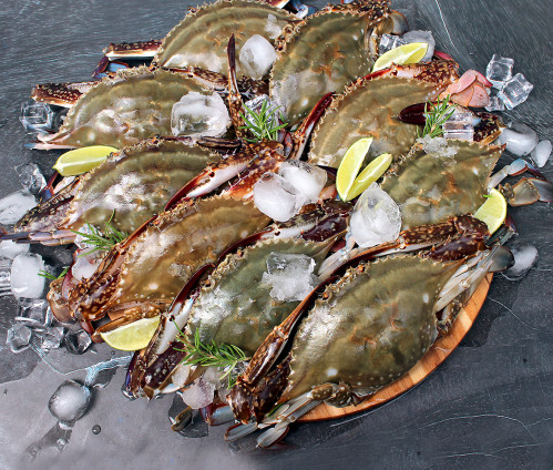 7f614ade972ab46feb924b4ad8b7b571_1676262649_0788.png 7f614ade972ab46feb924b4ad8b7b571_1676262649_0788.png