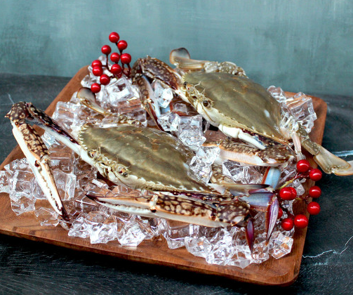 7f614ade972ab46feb924b4ad8b7b571_1676262649_2409.png 7f614ade972ab46feb924b4ad8b7b571_1676262649_2409.png