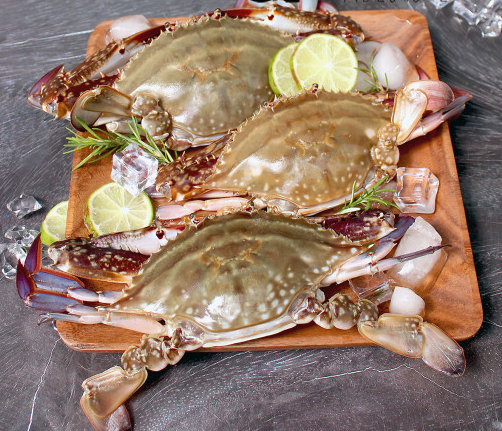 7f614ade972ab46feb924b4ad8b7b571_1676262649_3763.png 7f614ade972ab46feb924b4ad8b7b571_1676262649_3763.png