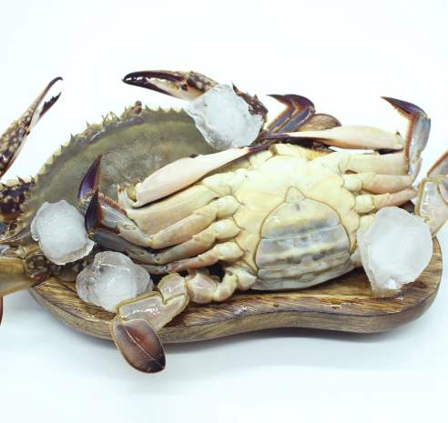 7f614ade972ab46feb924b4ad8b7b571_1676262649_479.png 7f614ade972ab46feb924b4ad8b7b571_1676262649_479.png