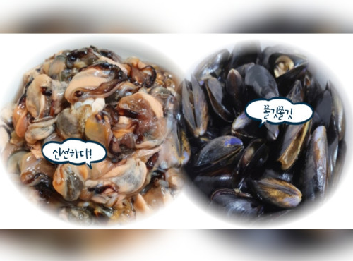 f302c3eb31e56a87f0c0db8554468309_1677215875_9083.png f302c3eb31e56a87f0c0db8554468309_1677215875_9083.png