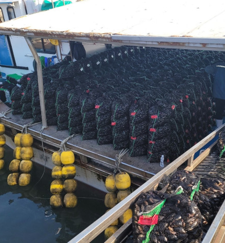 f302c3eb31e56a87f0c0db8554468309_1677215876_1448.png f302c3eb31e56a87f0c0db8554468309_1677215876_1448.png