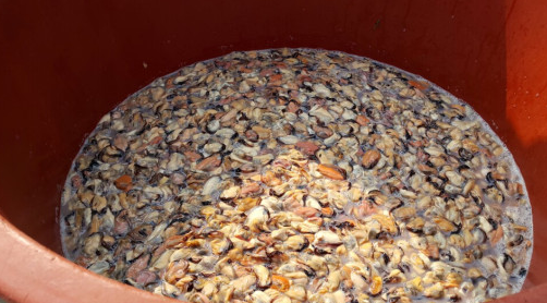 f302c3eb31e56a87f0c0db8554468309_1677215876_2339.png f302c3eb31e56a87f0c0db8554468309_1677215876_2339.png