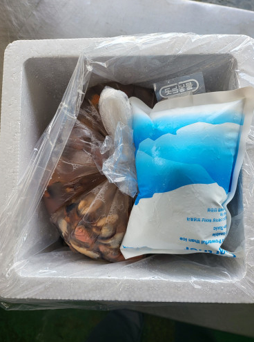 f302c3eb31e56a87f0c0db8554468309_1677215876_32.png f302c3eb31e56a87f0c0db8554468309_1677215876_32.png