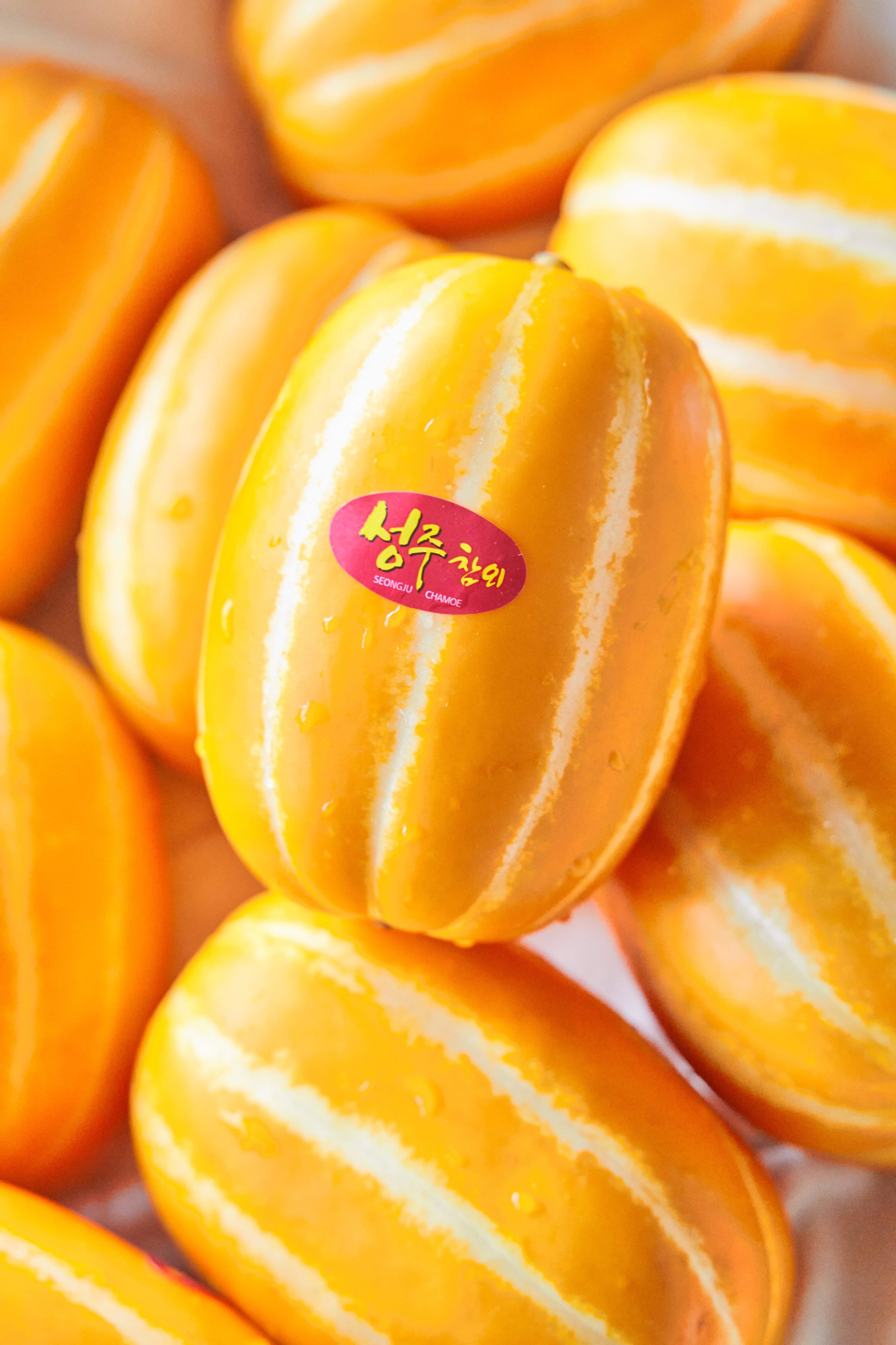 ae7dc17a56abc326caed7475a1588f04_1680142009_5505.jpg ae7dc17a56abc326caed7475a1588f04_1680142009_5505.jpg