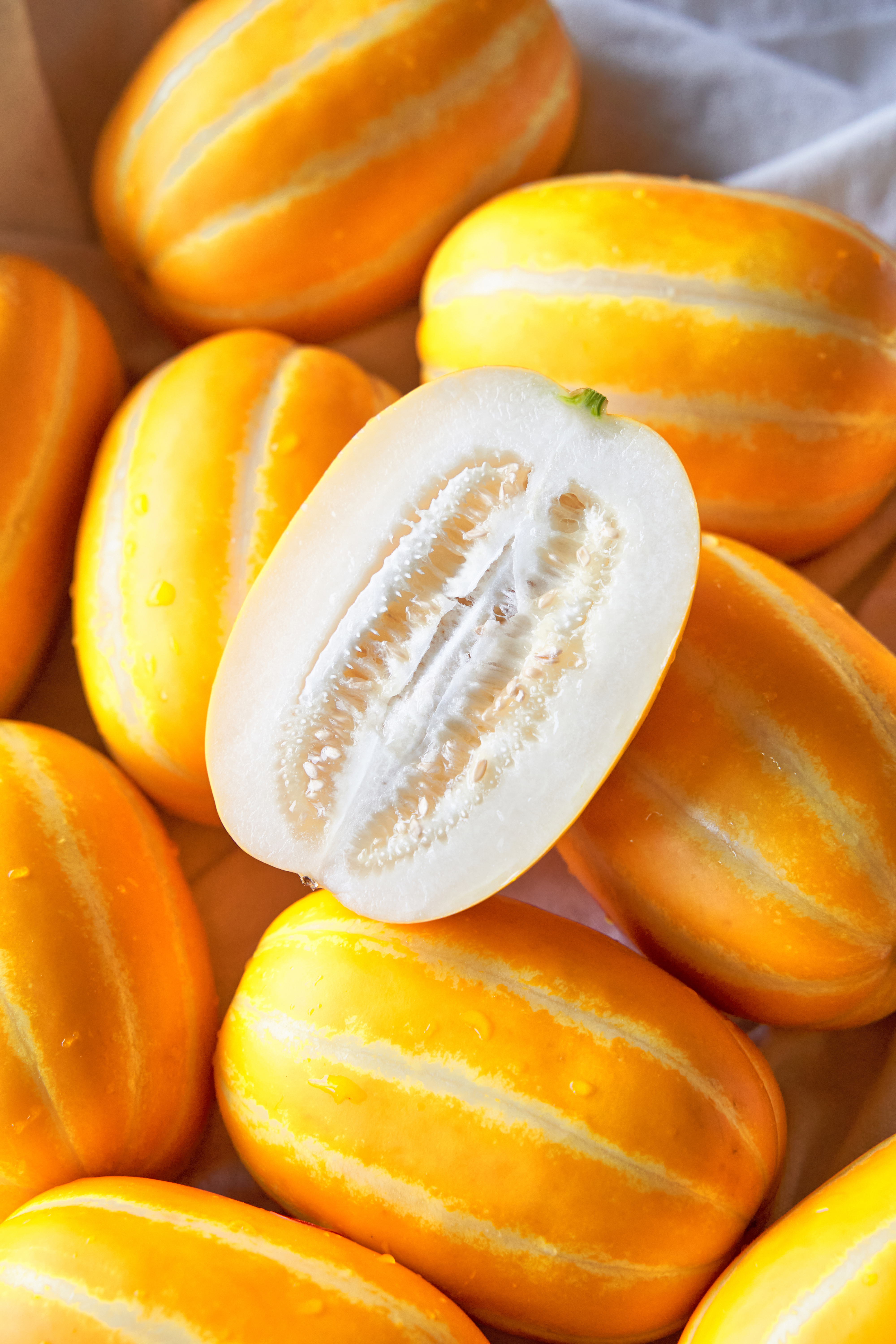 ae7dc17a56abc326caed7475a1588f04_1680142012_4217.jpg ae7dc17a56abc326caed7475a1588f04_1680142012_4217.jpg