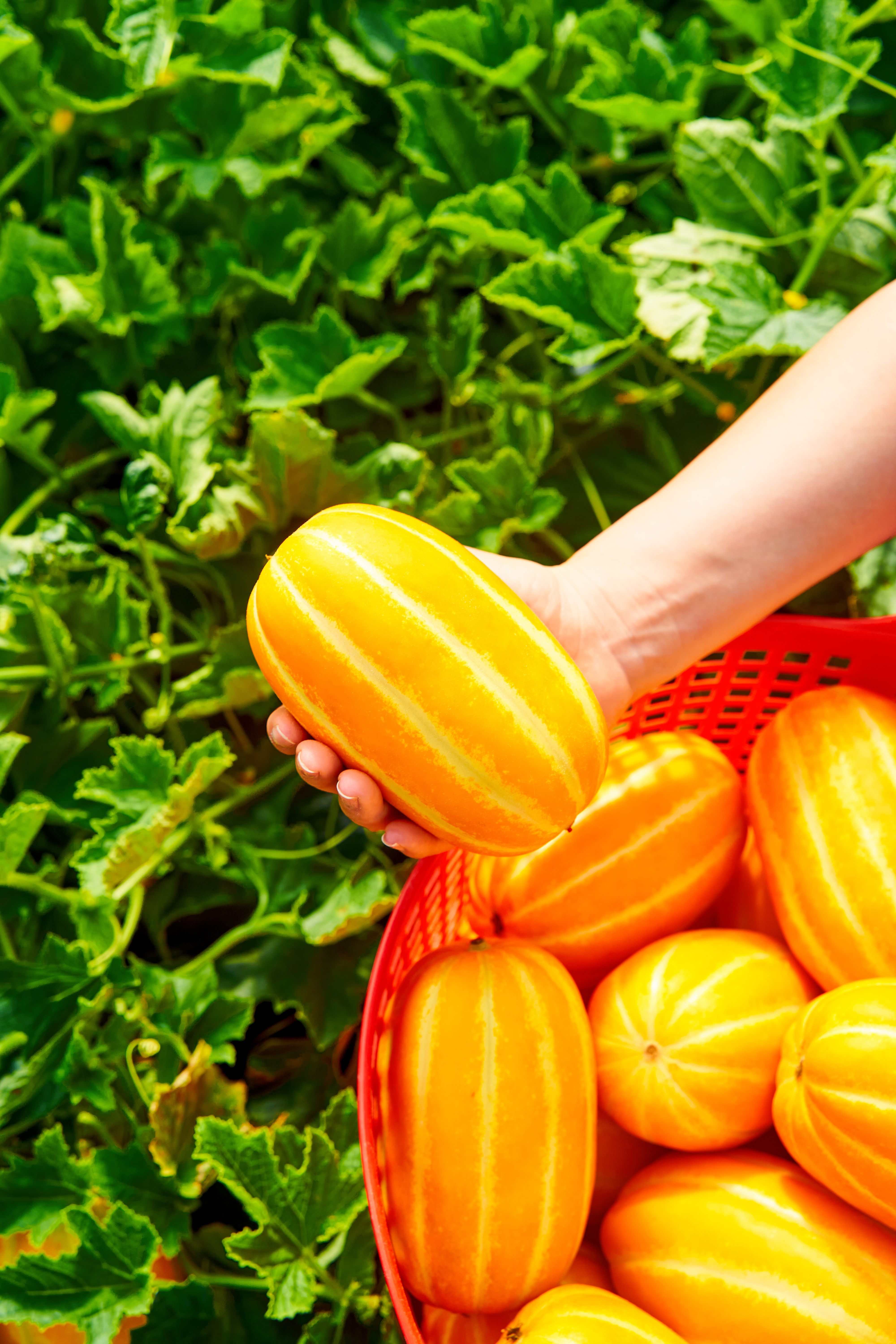 ae7dc17a56abc326caed7475a1588f04_1680142016_5319.jpg ae7dc17a56abc326caed7475a1588f04_1680142016_5319.jpg