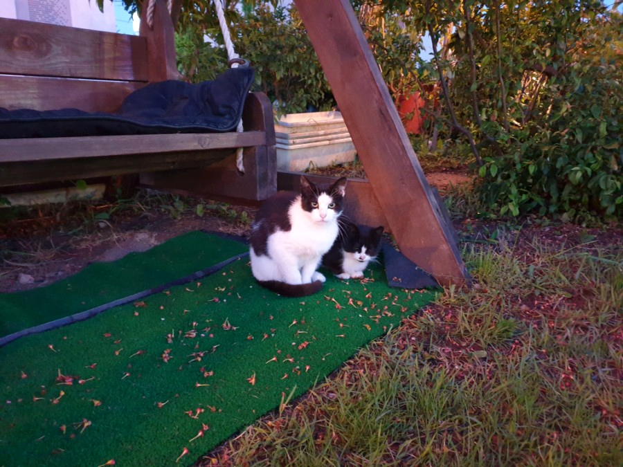 dc6ef9b5c88a72b568989e900f0412ce_1679540325_8547.jpg dc6ef9b5c88a72b568989e900f0412ce_1679540325_8547.jpg