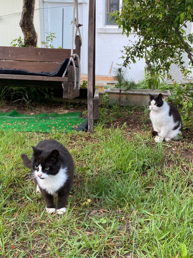 dc6ef9b5c88a72b568989e900f0412ce_1679540326_3597.jpg dc6ef9b5c88a72b568989e900f0412ce_1679540326_3597.jpg