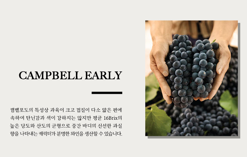 f66eb6c0a923cc7bf35a6e3aa02bc9b6_1680843771_8362.png f66eb6c0a923cc7bf35a6e3aa02bc9b6_1680843771_8362.png