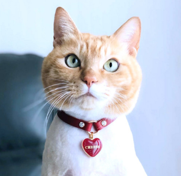 a692ea9c93ccc87f7cbff84556ef2e97_1683600566_3559.png a692ea9c93ccc87f7cbff84556ef2e97_1683600566_3559.png