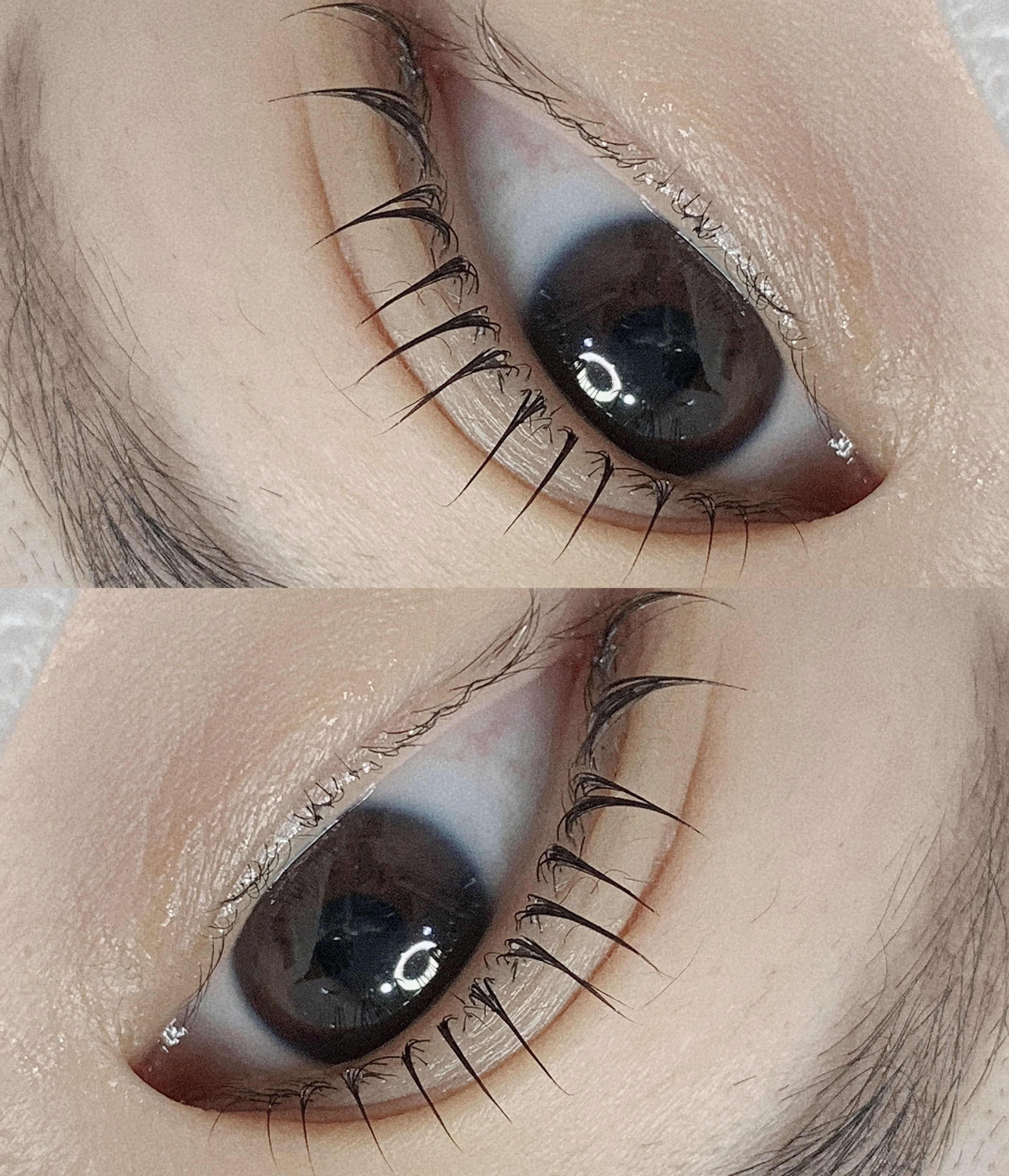 d92204198ca8758800f3d093f38bd0da_1687148086_1401.jpeg d92204198ca8758800f3d093f38bd0da_1687148086_1401.jpeg