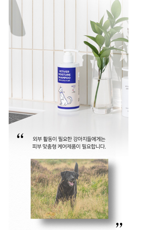 29f17a980c46b32365d20a1ef83a158e_1691546144_7119.png 29f17a980c46b32365d20a1ef83a158e_1691546144_7119.png