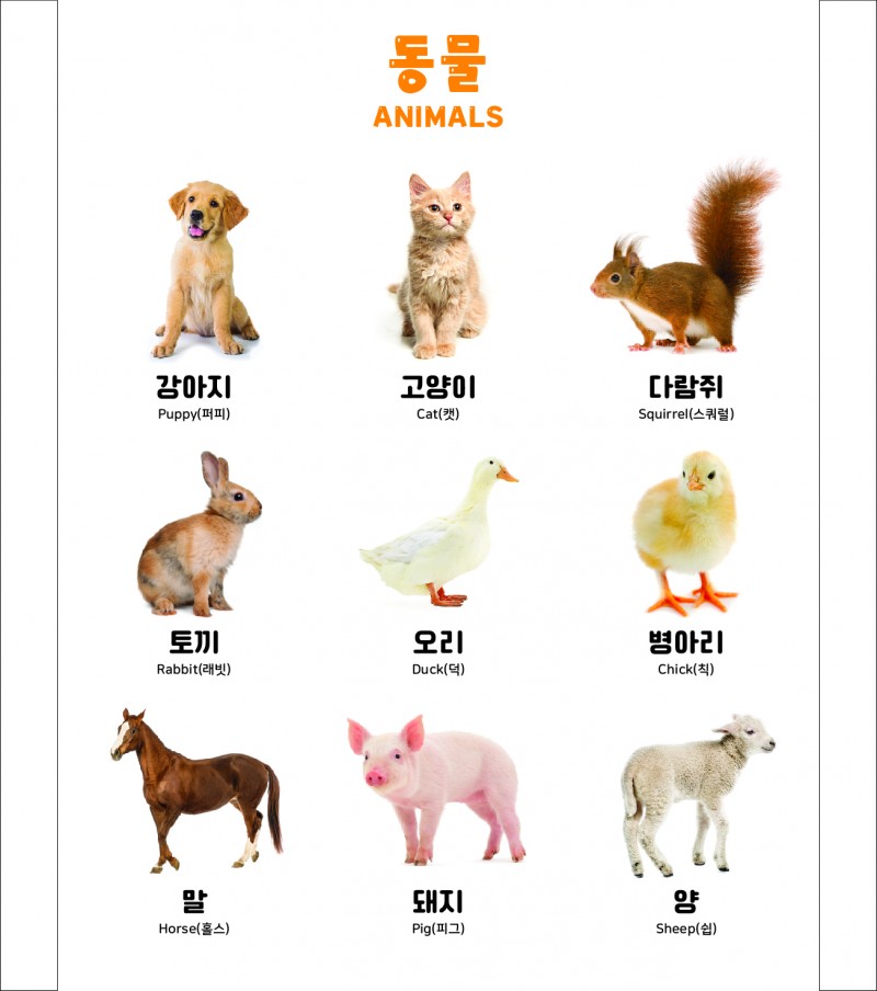 5dbcded966532fa679dc60fabe566ad1_1696933135_4956.jpg 5dbcded966532fa679dc60fabe566ad1_1696933135_4956.jpg