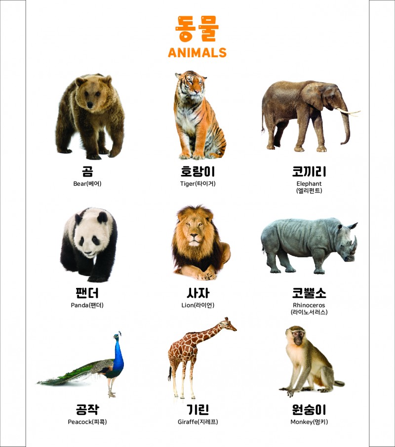 5dbcded966532fa679dc60fabe566ad1_1696933135_9139.jpg 5dbcded966532fa679dc60fabe566ad1_1696933135_9139.jpg