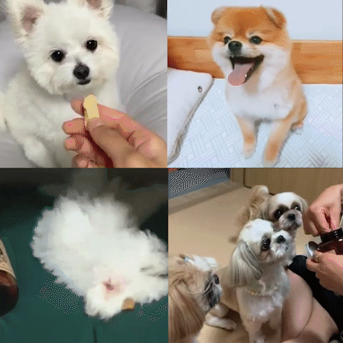 fc5b3876dce8e2f2d58e2dbb15dbf63c_1698392470_264.gif fc5b3876dce8e2f2d58e2dbb15dbf63c_1698392470_264.gif