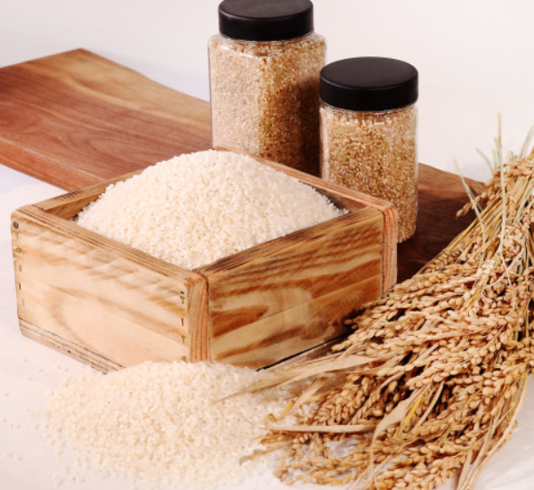 93d85ee08e7c46455026d4f32105f922_1698807518_3614.png 93d85ee08e7c46455026d4f32105f922_1698807518_3614.png