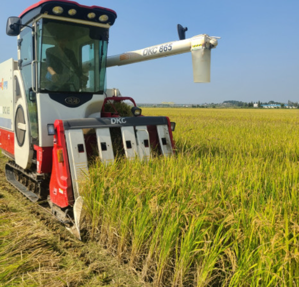 93d85ee08e7c46455026d4f32105f922_1698807518_9025.png 93d85ee08e7c46455026d4f32105f922_1698807518_9025.png