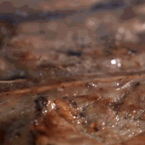 953dbb1090bff10685cb032ea67f773a_1706667594_6663.gif 953dbb1090bff10685cb032ea67f773a_1706667594_6663.gif