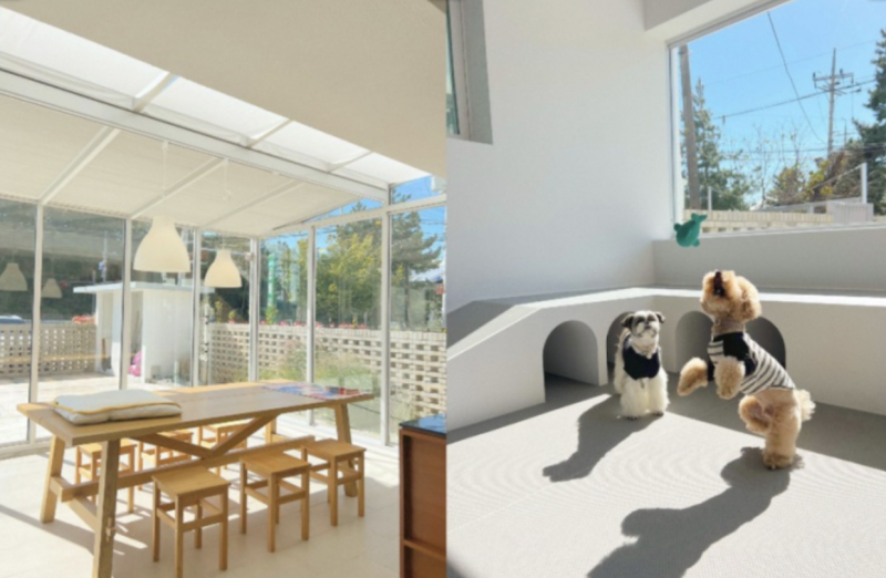 03812a030bc154a08ce8bb90a2dba4bf_1709185175_2265.png 03812a030bc154a08ce8bb90a2dba4bf_1709185175_2265.png