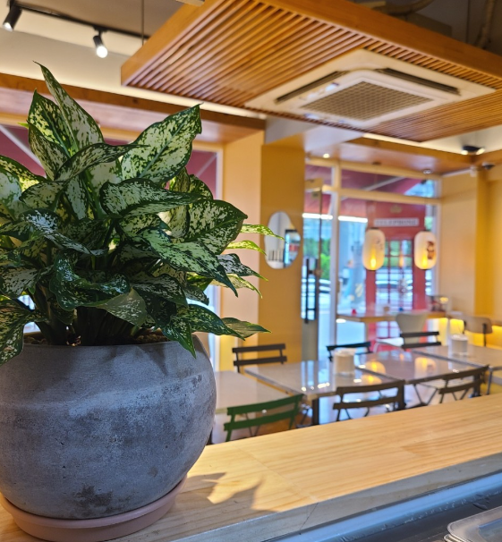 05715beb7a0a6a941395f45594240ab8_1707960979_876.png 05715beb7a0a6a941395f45594240ab8_1707960979_876.png