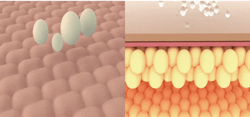 26ce727d7d5d425c670813d48f824716_1708489639_2989.gif 26ce727d7d5d425c670813d48f824716_1708489639_2989.gif