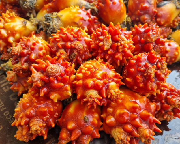 4374395c830018c8666bb54eee452308_1707101302_0307.png 4374395c830018c8666bb54eee452308_1707101302_0307.png