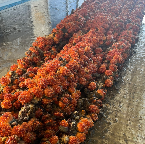 4374395c830018c8666bb54eee452308_1707101302_1948.png 4374395c830018c8666bb54eee452308_1707101302_1948.png