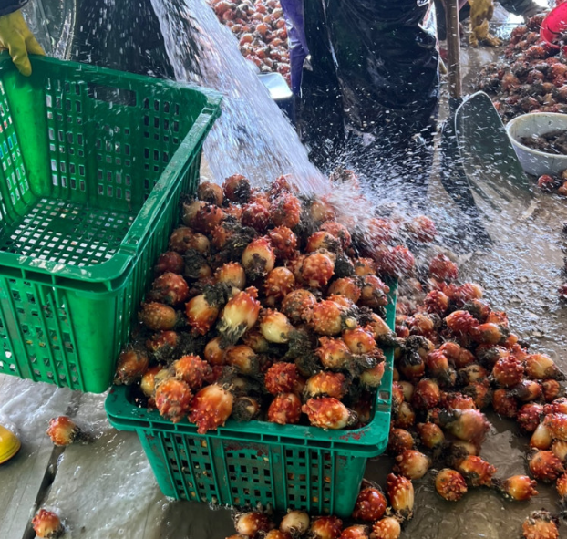 4374395c830018c8666bb54eee452308_1707101302_3278.png 4374395c830018c8666bb54eee452308_1707101302_3278.png