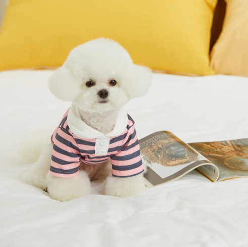 5dff28504a103bebf4c8490172475e1d_1706854761_3274.png 5dff28504a103bebf4c8490172475e1d_1706854761_3274.png