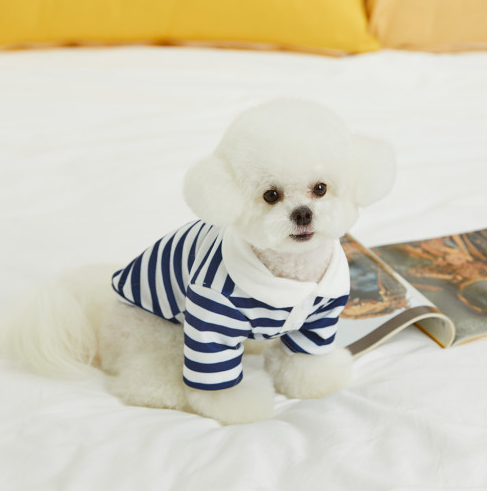 5dff28504a103bebf4c8490172475e1d_1706854761_3878.png 5dff28504a103bebf4c8490172475e1d_1706854761_3878.png