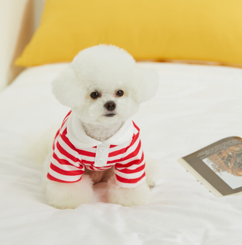 5dff28504a103bebf4c8490172475e1d_1706854761_442.png 5dff28504a103bebf4c8490172475e1d_1706854761_442.png