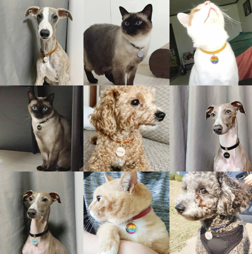 6ff2682336a4857a3ad81e12179814bf_1708395792_2635.png 6ff2682336a4857a3ad81e12179814bf_1708395792_2635.png