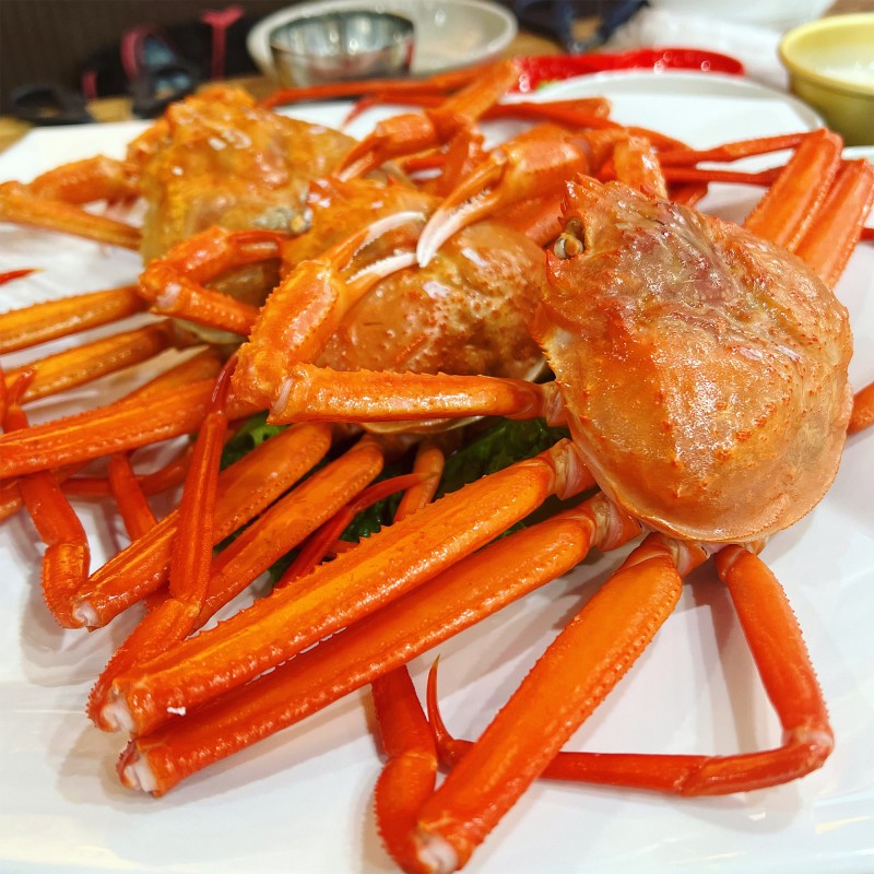 722e9f7663006322728c6389ead325ca_1708418611_0708.jpg 722e9f7663006322728c6389ead325ca_1708418611_0708.jpg